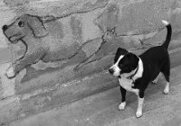 130 - BESIDE WALL - MARIJANCIC BOZO - croatia <div